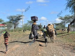 Pastoralists Migration